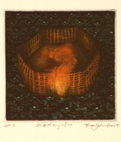 Artist: b'Johnstone, Ruth.' | Title: bSt. Anthony's fire | Date: 1991 | Technique: b'etching, printed in colour, from multiple plates'