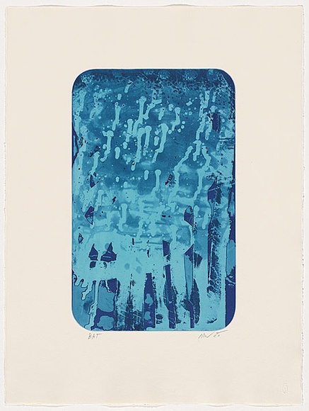 Artist: b'Javanalikikorn, Kade.' | Title: b'Not titled [overlaid plate patterns in blue tones].' | Date: 2007 | Technique: b'etching, open-bite and aquatint, printed using viscosity method in colour, from one plate; 1 intaglio colour, 2 roll colours'