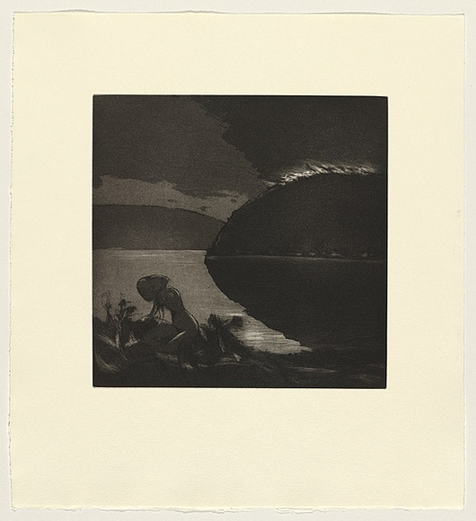 Artist: b'Shead, Garry.' | Title: b'Bushfire' | Date: 1991-94 | Technique: b'etching and aquatint, printed in black ink, from one plate' | Copyright: b'\xc2\xa9 Garry Shead'