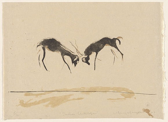 Artist: b'MACQUEEN, Mary' | Title: b'Indian antelopes' | Date: 1967 | Technique: b'lithograph, printed in colour, from multiple plates' | Copyright: b'Courtesy Paulette Calhoun, for the estate of Mary Macqueen'