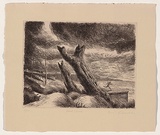 Artist: b'AMOR, Rick' | Title: b'Foreshore.' | Date: 1990 | Technique: b'etching, printed in black ink, from one plate'