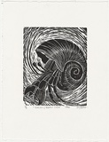 Artist: b'Lindsay (Sale), Joe.' | Title: b'Kokosu / Hermit crab' | Date: 1995 | Technique: b'woodcut, printed in black ink, from one block'