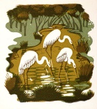 Artist: OGILVIE, Helen | Title: Greeting card: Christmas, Little Egret. | Date: (1950) | Technique: linocut, printed in colour, from multiple blocks