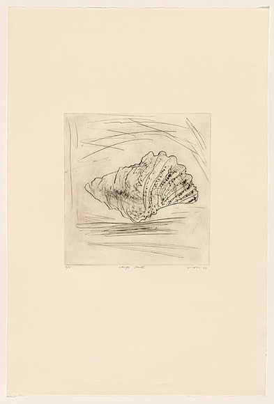 Title: b'Large shell' | Date: 1980 | Technique: b'drypoint, printed in black ink, from one perspex plate'