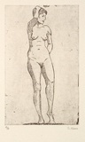 Artist: b'Adams, Stephen.' | Title: b'not titled [standing female nude]' | Date: 1990,  June | Technique: b'etching, printed in black ink, from one plate'