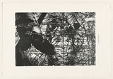 Artist: b'SIBLEY, Dan' | Title: bNot titled (Paulie's world). | Date: 2003 | Technique: b'lithograph, printed in black ink, from one stone [or plate]'