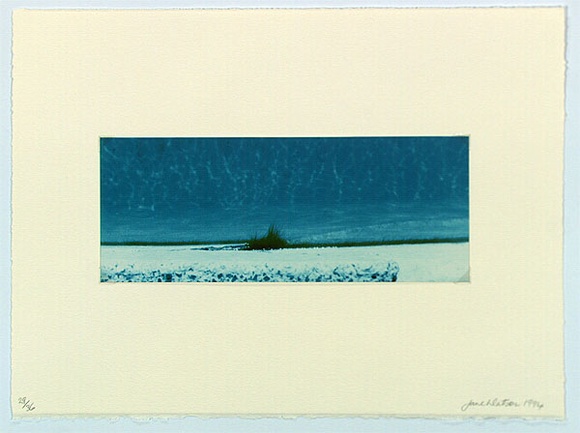 Artist: b'Watson, Jane' | Title: b'not titled [coast]' | Date: 1994 - 1995 | Technique: b'type C photograph, printed in colour'