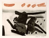 Artist: b'Rose, David.' | Title: b'not titled [sunflower etching]' | Date: 1964 | Technique: b'etching'