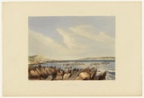 Artist: Angas, George French. | Title: Cape Jervis. | Date: 1846-47 | Technique: lithograph, printed in colour, from multiple stones; varnish highlights by brush