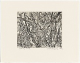 Artist: Senbergs, Jan. | Title: Otway scrub | Date: 1992 | Technique: etching, printed in black ink, from one plate | Copyright: © Jan Senbergs