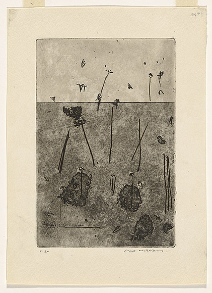Artist: b'WILLIAMS, Fred' | Title: b'Gum trees in landscape, Lysterfield' | Date: 1965-66 | Technique: b'etching, aquatint, sugar aquatint and drypoint, printed in black ink, from one copper plate' | Copyright: b'\xc2\xa9 Fred Williams Estate'