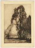 Artist: LONG, Sydney | Title: Pastoral softground | Date: 1918 | Technique: softground-etching, printed in brown ink with plate-tone, from one zinc plate | Copyright: Reproduced with the kind permission of the Ophthalmic Research Institute of Australia