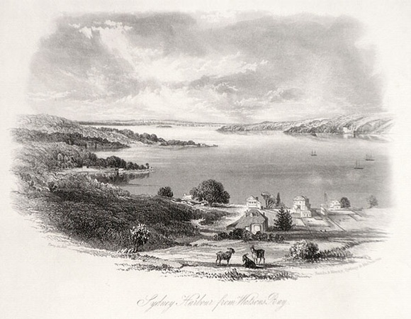 Artist: b'Terry, F.C.' | Title: bSydney Harbour from Watson's Bay | Date: 1853 | Technique: b'engraving, printed in black ink, from one steel plate'