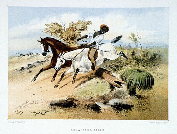 Title: b'Squatters tiger' | Date: 1865 | Technique: b'lithograph, printed in colour, from multiple stones'