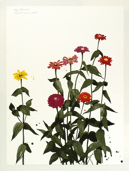 Artist: b'Rose, David.' | Title: b'Zinnias' | Date: 1975 | Technique: b'screenprint, printed in colour, from multiple stencils'