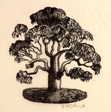 Artist: OGILVIE, Helen | Title: not titled [Colophon: stylized gum tree]. | Date: c.1944 | Technique: wood-engraving, printed in black ink, from one block