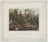 Artist: Chevalier, Nicholas. | Title: Agnes River Corner Inlet, Gippsland. | Date: 1865 | Technique: lithograph, printed in colour, from multiple stones; additional hand-colouring