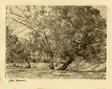 Artist: Farmer, John. | Title: Landscape. | Date: c.1960 | Technique: softground-etching, printed in brown ink, from one plate