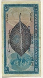 Artist: HALL, Fiona | Title: Ficus obliqua - Small-leaf fig (Portuguese Timor currency) | Date: 2000 - 2002 | Technique: gouache | Copyright: © Fiona Hall