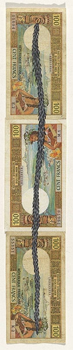 Artist: Hall, Fiona. | Title: Araucaria columnaris - Column pine (French Melanesian currency) | Date: 2000 - 2002 | Technique: gouache | Copyright: © Fiona Hall