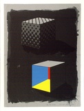 Artist: b'Rose, David.' | Title: b'Two cubes (2 sheets)' | Date: 1972 | Technique: b'screenprint, printed in colour, from multiple stencils'