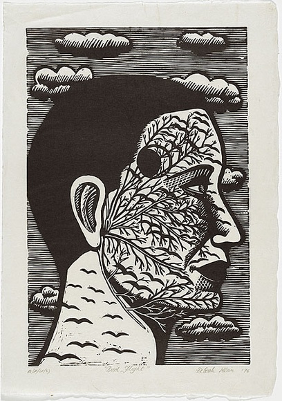 Artist: b'Klein, Deborah.' | Title: b'Bird flight' | Date: 1996 | Technique: b'linocut, printed in black ink, from one block'
