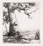 Artist: Herbert, Harold. | Title: The old gum | Date: c.1928 | Technique: etching, printed in black ink, from one plate