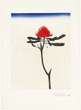 Artist: ROSE, David | Title: Waratah | Date: 1978 | Technique: aquatint, printed in colour, from one plate