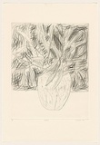 Title: Hakea | Date: 1983 | Technique: drypoint, printed in black ink, from one perspex plate