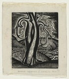 Artist: b'Rosenstengel, Paula.' | Title: b'Horse chestnut, Capel-y-ffin' | Date: c.1940 | Technique: b'wood-engraving, printed in black ink, from one block'