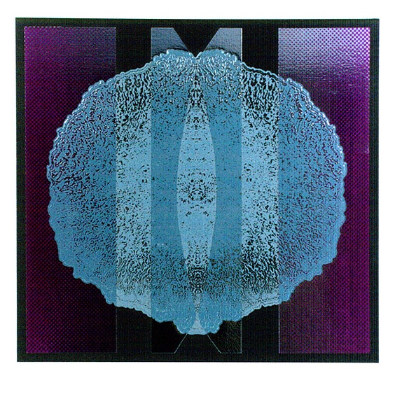 Artist: b'EWINS, Rod' | Title: b'not titled [mandala].' | Date: 1975 | Technique: b'relief-etching, screenprint'