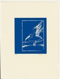 Artist: b'Law, Roger.' | Title: b'Not titled [pelican].' | Date: 2002 | Technique: b'linocut, printed in blue ink, from one block'