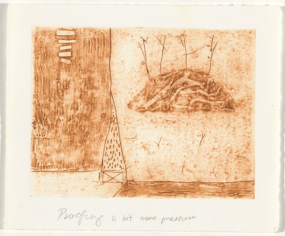 Artist: b'Ramsay, Kylie.' | Title: b'Field study' | Date: April 1998 | Technique: b'collograph, printed in orange ink, from one plate'