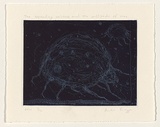 Artist: Bragge, Anita. | Title: The expanding universe and the millipede of time | Date: 1999, November | Technique: etching, relief printed in blue ink, from one plate