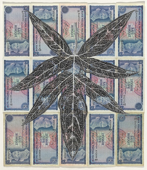 Artist: b'HALL, Fiona' | Title: b'Lasia spinosa (Malyasian currency)' | Date: 2000 - 2002 | Technique: b'gouache' | Copyright: b'\xc2\xa9 Fiona Hall'