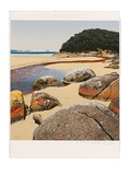 Artist: b'Rose, David.' | Title: bAt Tidal River, Wilson's Promontory | Date: 1998 | Technique: b'screenprint, printed in colour, from multiple screens'