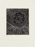 Artist: b'Mahoney, Bianca.' | Title: b'Rose garden' | Date: c.1998 | Technique: b'linocut, printed in black ink, from one block; hand-coloured'