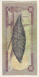Artist: HALL, Fiona | Title: Olea europaea - Olive (Syrian currency) | Date: 2000 - 2002 | Technique: gouache | Copyright: © Fiona Hall