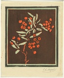 Artist: Allport, C.L. | Title: Crategus. | Date: c.1928 | Technique: linocut, printed in colour, from multiple blocks