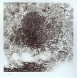 Artist: McShane, Justin. | Title: not titled [trees and waves] | Date: 2001, July | Technique: hardground-etching, printed in black ink, from one plate