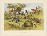 Title: b'Native police' | Date: 1865 | Technique: b'lithograph, printed in colour, from multiple stones'