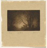 Artist: b'Gruner, Elioth.' | Title: b'The glade' | Date: 1919 | Technique: b'drypoint, printed in brown ink with plate-tone, from one plate'