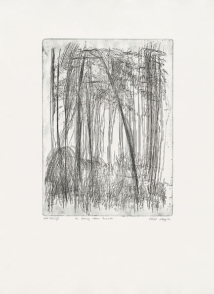 Artist: b'MEYER, Bill' | Title: b'On seeing new growth' | Date: 1988 | Technique: b'etching, printed in blue/black ink with plate-tone, from one plate' | Copyright: b'\xc2\xa9 Bill Meyer'