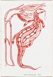 Artist: b'Omeenyo, Gregory' | Title: b'Lizard and tree card print' | Date: 1997, November | Technique: b'screenprint, printed in red ink, from one stencil'