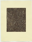 Artist: b'Petyarre, Gloria.' | Title: b'Not titled [leaves 2]' | Date: 2005 | Technique: b'etching, printed in colour with plate-tone, from one plate' | Copyright: b'\xc2\xa9 Gloria Petyarre, Licensed by VISCOPY, Australia'