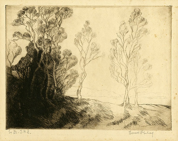 Artist: b'Finlay, Ernest.' | Title: b'(Trees).' | Date: c.1925 | Technique: b'drypoint, printed in brown ink with plate-tone, from one plate'