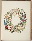 Artist: Meredith, Louisa Anne. | Title: Wreath of berries. | Date: 1860 | Technique: lithograph, printed in colour, from multiple stones