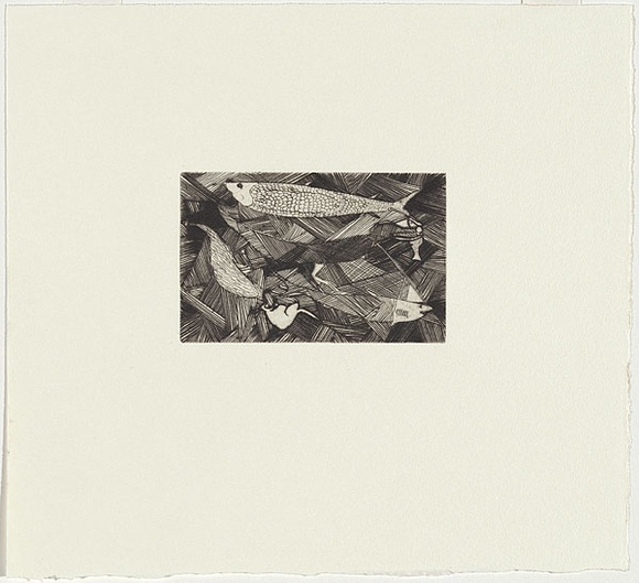 Artist: b'WARADJIMA, Albert' | Title: b'(Animals, emu and fish)' | Date: 1976 | Technique: b'drypoint, printed in black ink, from one zinc plate'