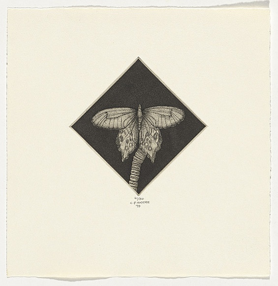 Artist: b'Moore, Catherine.' | Title: b'not titled [butterfly]' | Date: 1979 | Technique: b'etching and aquatint, printed in black ink, from one plate'