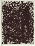 Artist: SANSOM, Gareth | Title: El hombre invisible | Date: 1994, January - March | Technique: drypoint and roullette, printed in black ink, from one plate